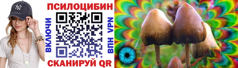 Галлюциногенные грибы MAGIC MUSHROOMS  Тында 